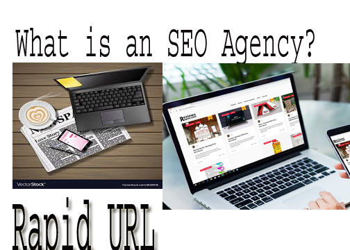 SEO rapid URL indexer