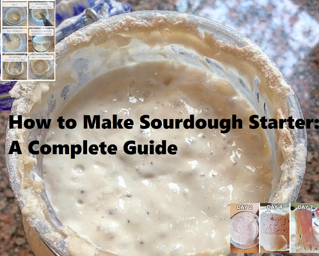 Sourdough Starter