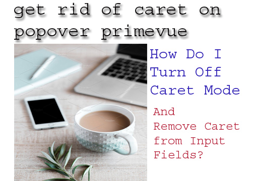 get rid of caret on popover primevue