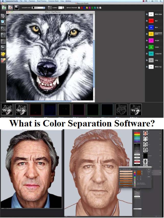 What is Color Separation Software?